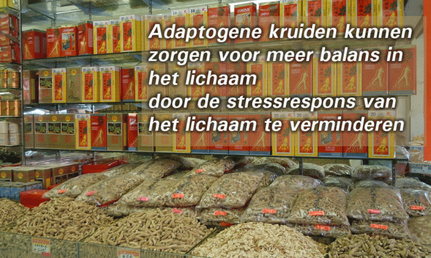 Adaptogenen brengen de balans terug