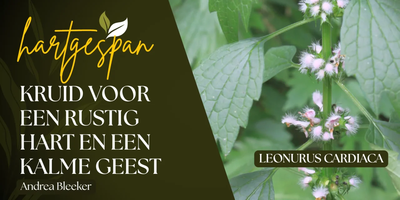 Hartgespan: rust voor lichaam én geest