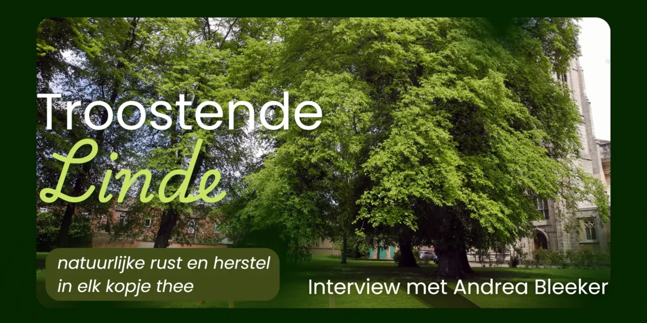 De lindeboom: een natuurlijk rustpunt