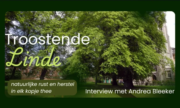 De lindeboom: een natuurlijk rustpunt
