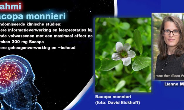 Bacopa: voor aandacht en geheugen
