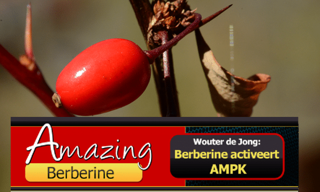 Berberine tegen diabetes type 2