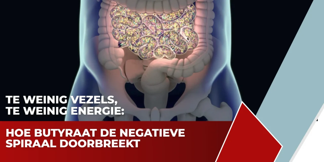 Butyraat: geeft energie en remt ontstekingen