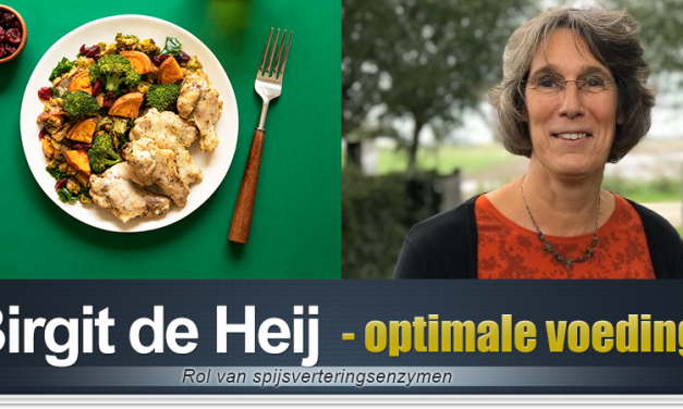 Optimale vertering