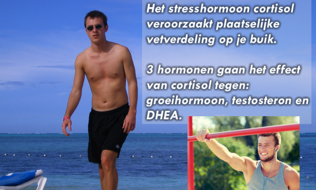 Hoe raak je buikvet kwijt?