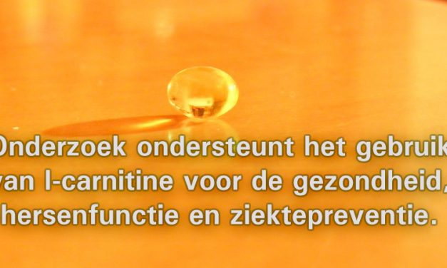 L-carnitine: werking en bronnen