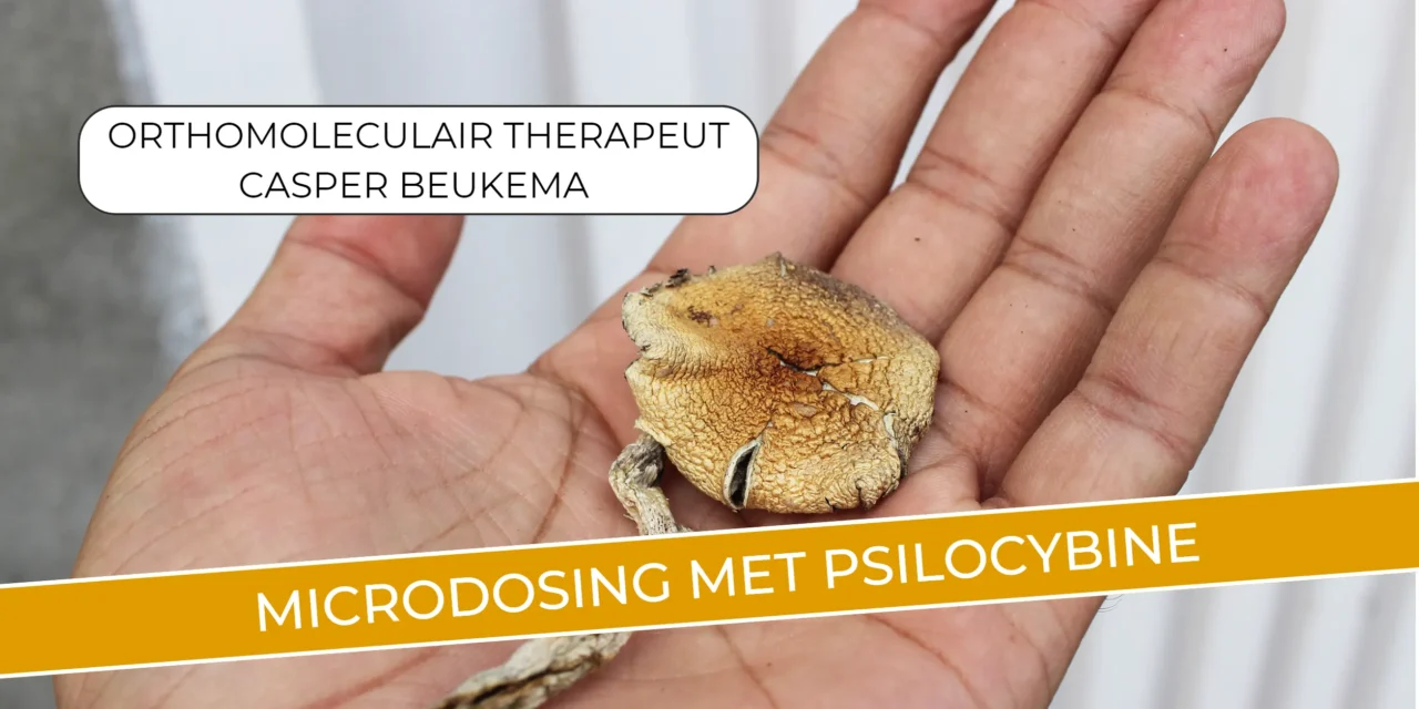 Voordelen van microdosing psilocybine