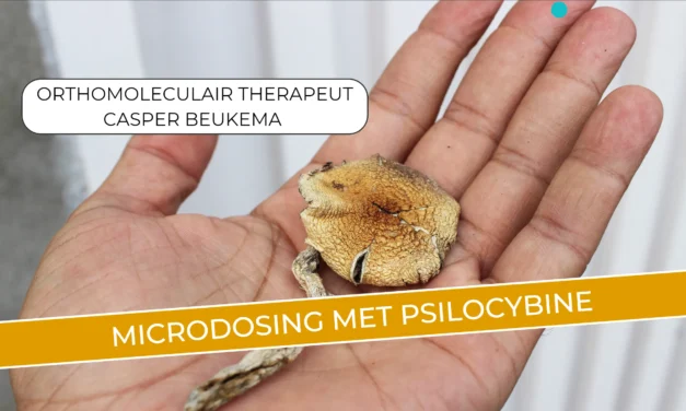 Voordelen van microdosing psilocybine