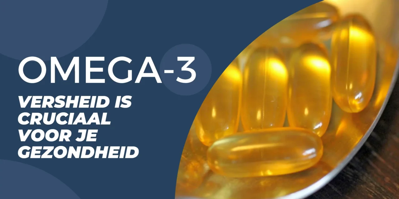 Omega-3: de cruciale balans tussen hersengezondheid en oxidatierisico