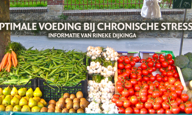 Voeding bij chronische stress
