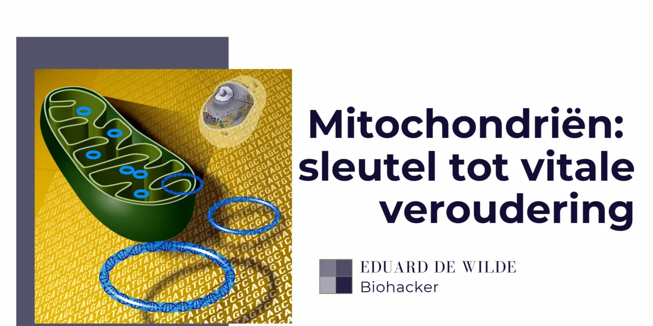 Mitochondriën boosten