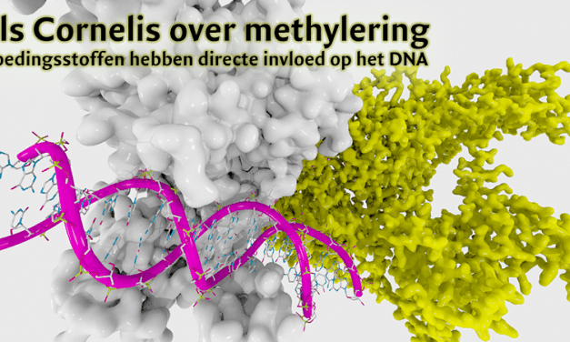 Methylering = biochemisch herstel