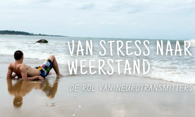 Neurotransmitters: brug tussen je brein en weerstand