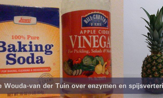 Enzymen voor vertering
