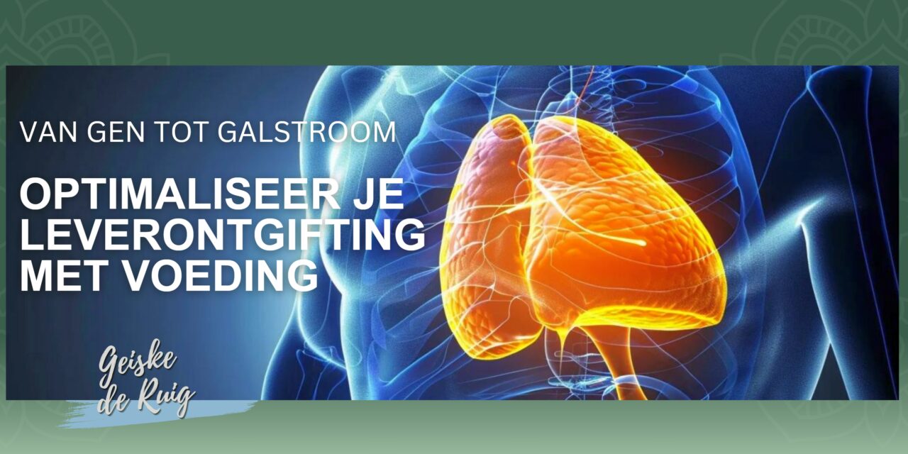 De lever als fabriek: hoe genen en voeding je ontgifting sturen