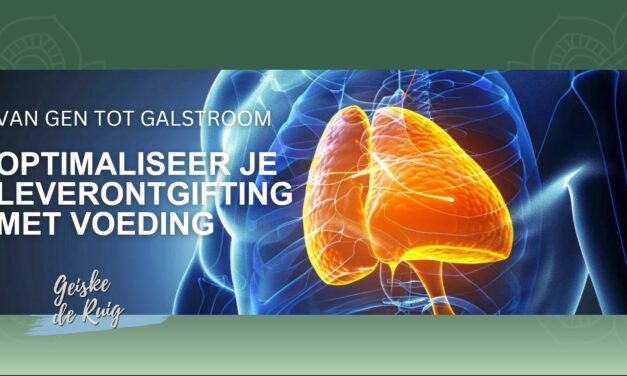 De lever als fabriek: hoe genen en voeding je ontgifting sturen