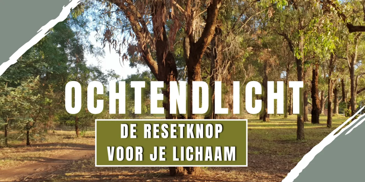 Licht als medicijn