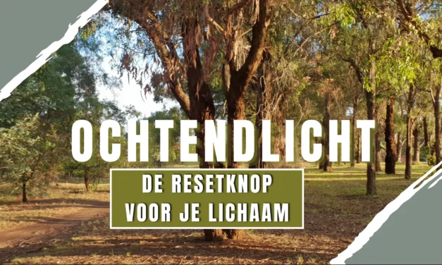Licht als medicijn