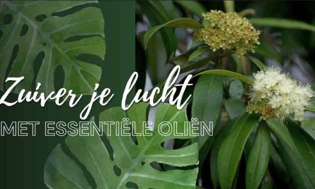 Onzichtbare bedreiging in huis: hoe je het binnenklimaat gezond maakt