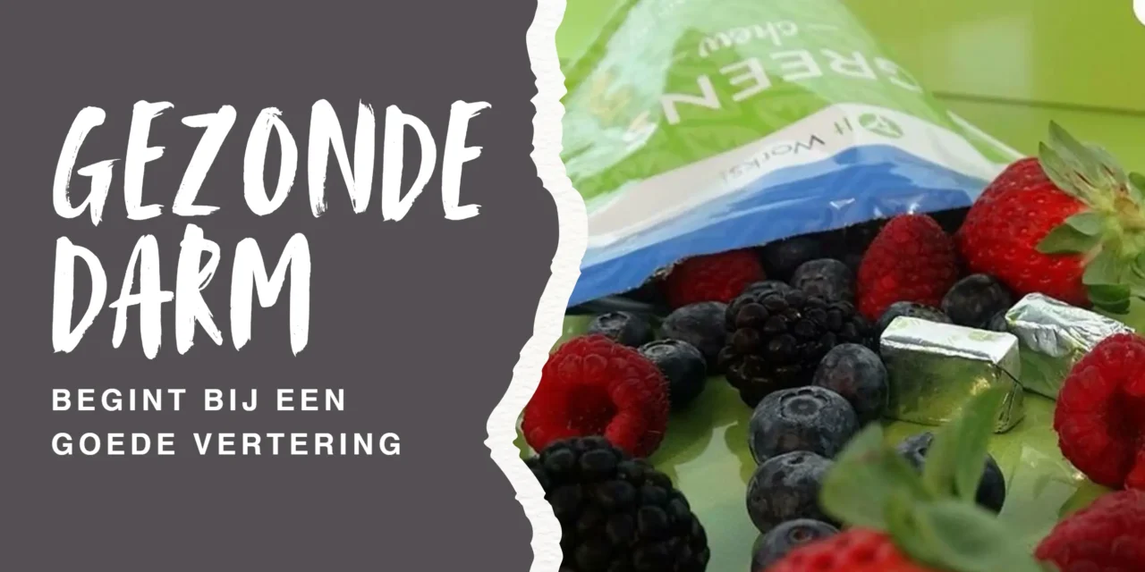 Het microbioom: sleutel tot immuniteit