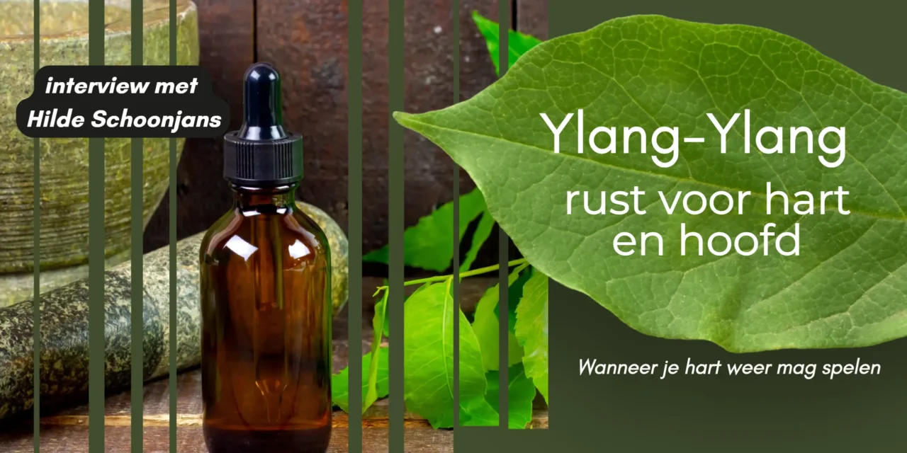 Ylang-Ylang als balsem voor het hart