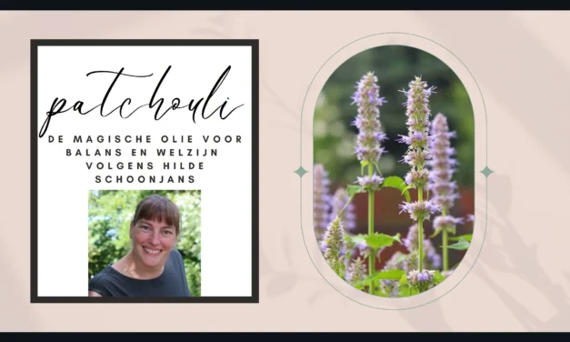 Patchouli: aardende etherische olie