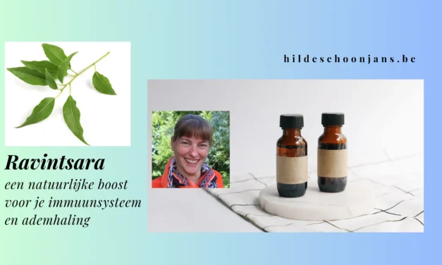 Ravintsara voor immuunondersteuning