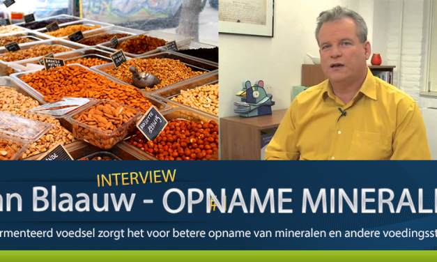 Opname mineralen uit voeding