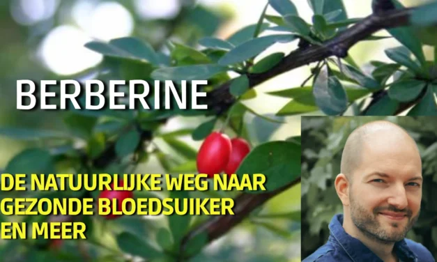 Berberine: natuurlijk middel voor gezondheid