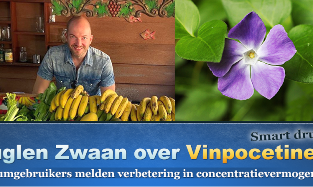 Vinpocetine voor gerichte aandacht