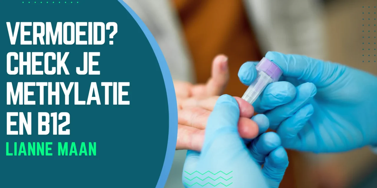 Vitamine B12: motor voor je energie en zenuwstelsel