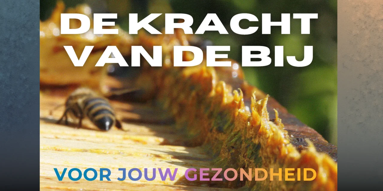 De bij als apotheker van de natuur
