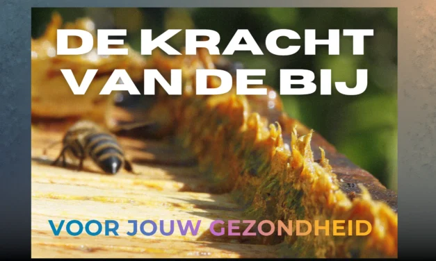 De bij als apotheker van de natuur