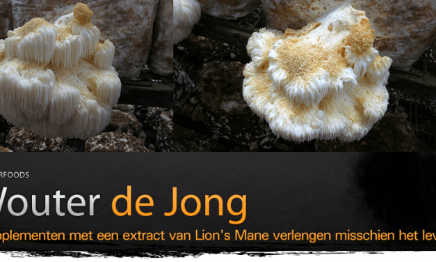 Lion’s Mane als breinbooster