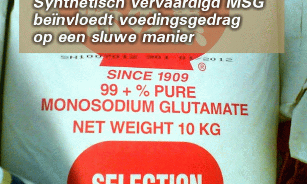 Hoezo is glutamaat in bereide voeding slecht?