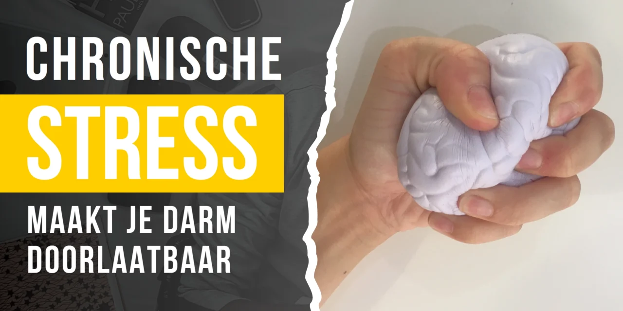 Stress, gluten en je darmen