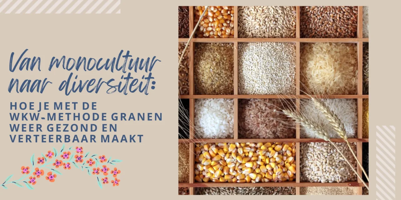 Variatie en de juiste bereiding maken granen gezond