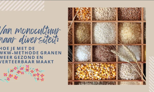 Variatie en de juiste bereiding maken granen gezond