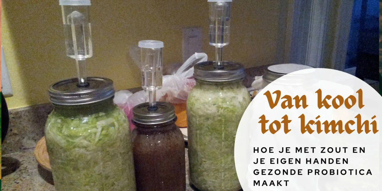 Van kimchi tot zuurkool: de universele kracht van fermentatie