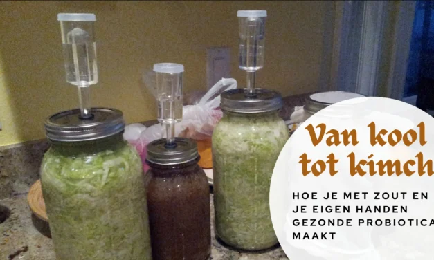 Van kimchi tot zuurkool: de universele kracht van fermentatie