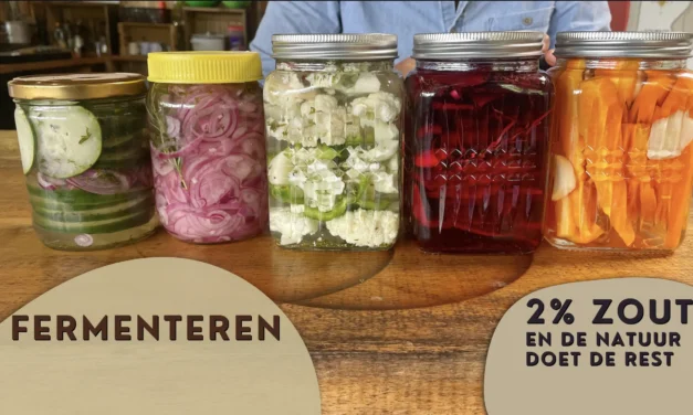 Fermenteren volgens vaste natuurwetten