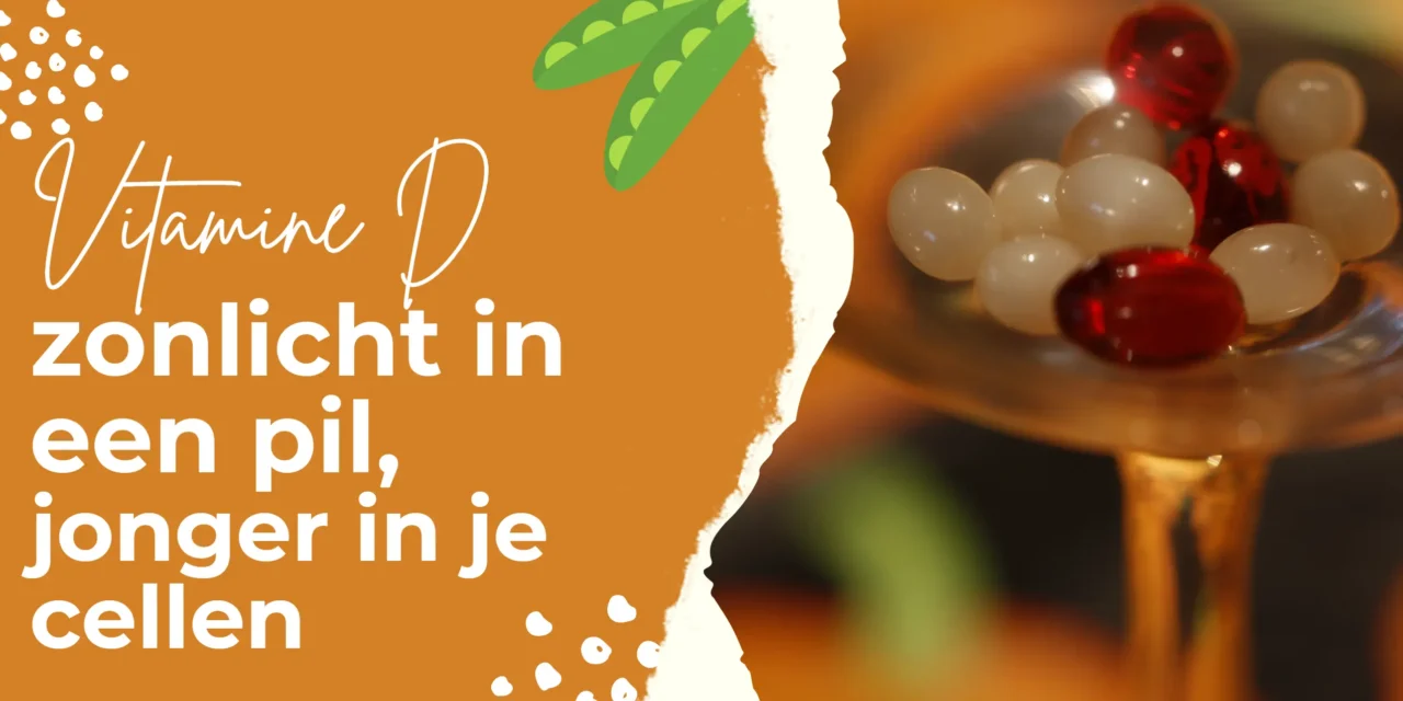 Vitamine D blijkt veroudering af te remmen