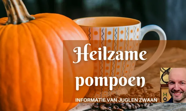 Pompoen: bron van voedingsstoffen