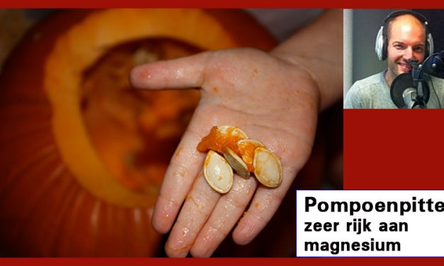 Waarde van pitten van pompoen