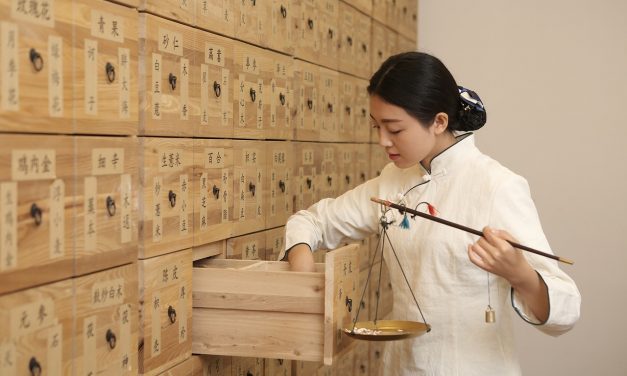 Visie van de TCM op superfoods