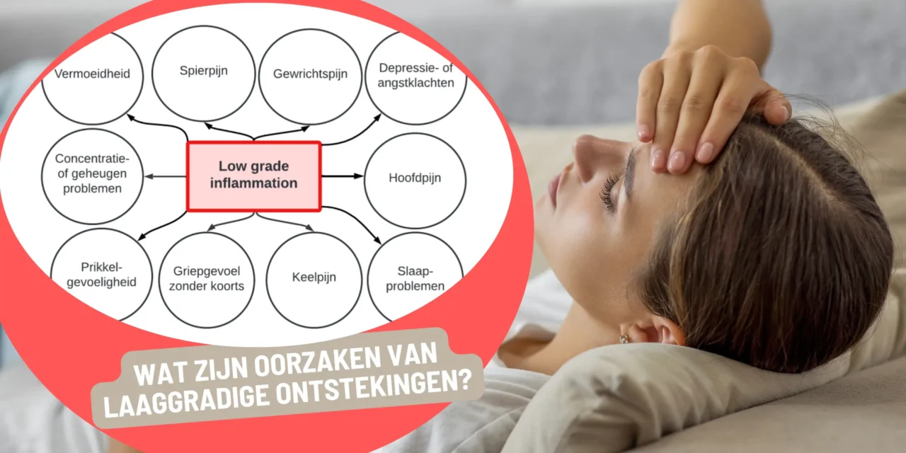“De stille brand in je lijf”: laaggradige ontstekingen
