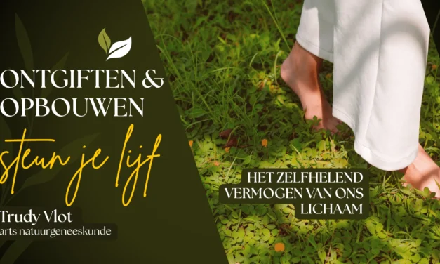 Zelfhelend vermogen van het lichaam