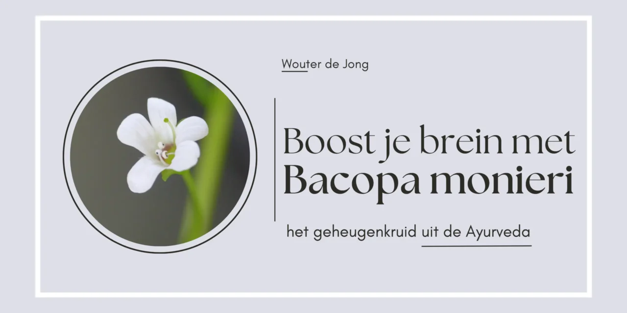 Bacopa monieri – Ayurvedisch kruid voor een scherp geheugen en focus