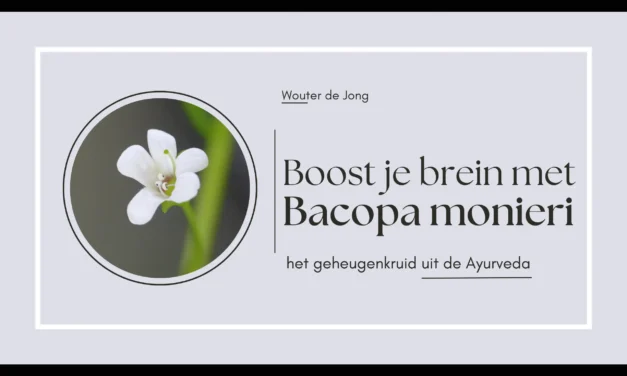 Bacopa monieri – Ayurvedisch kruid voor een scherp geheugen en focus
