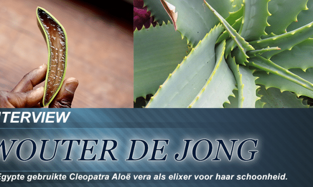 Aloë vera voor de huid